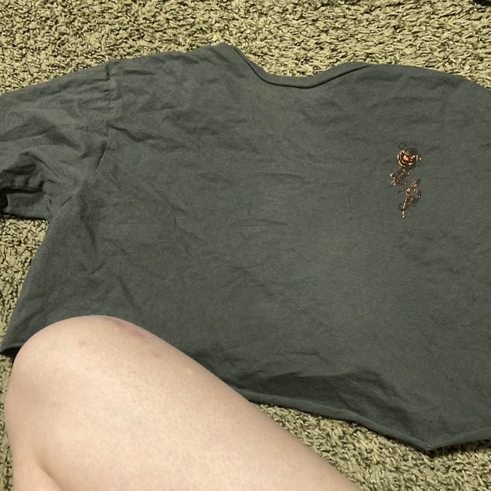 Gray and red dragon themed crop